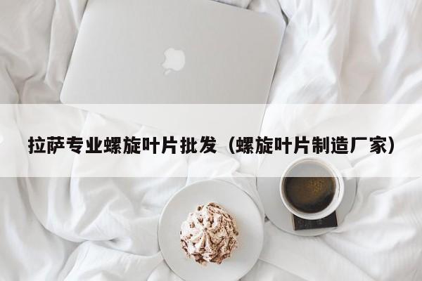 拉萨专业螺旋叶片批发（螺旋叶片制造厂家）