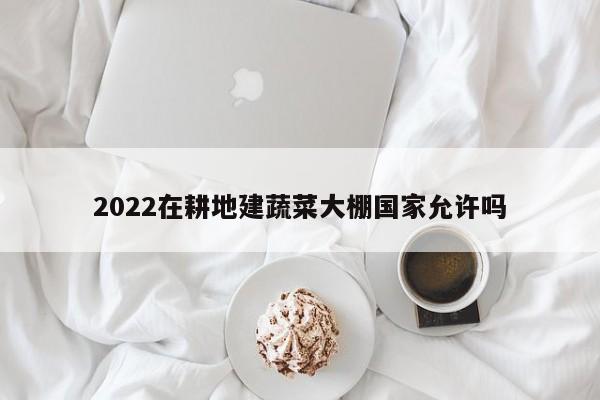 2022在耕地建蔬菜大棚国家允许吗